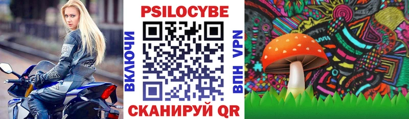 Галлюциногенные грибы GOLDEN TEACHER Ноябрьск