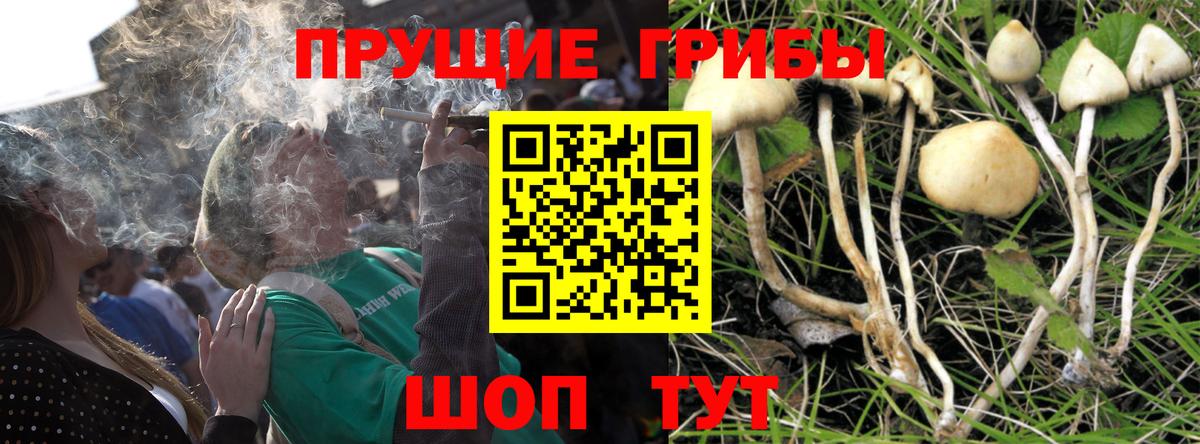 Ноябрьск  Псилоцибиновые грибы ЛСД  Псилоцибиновые грибы ЛСД  Вход с VPN 